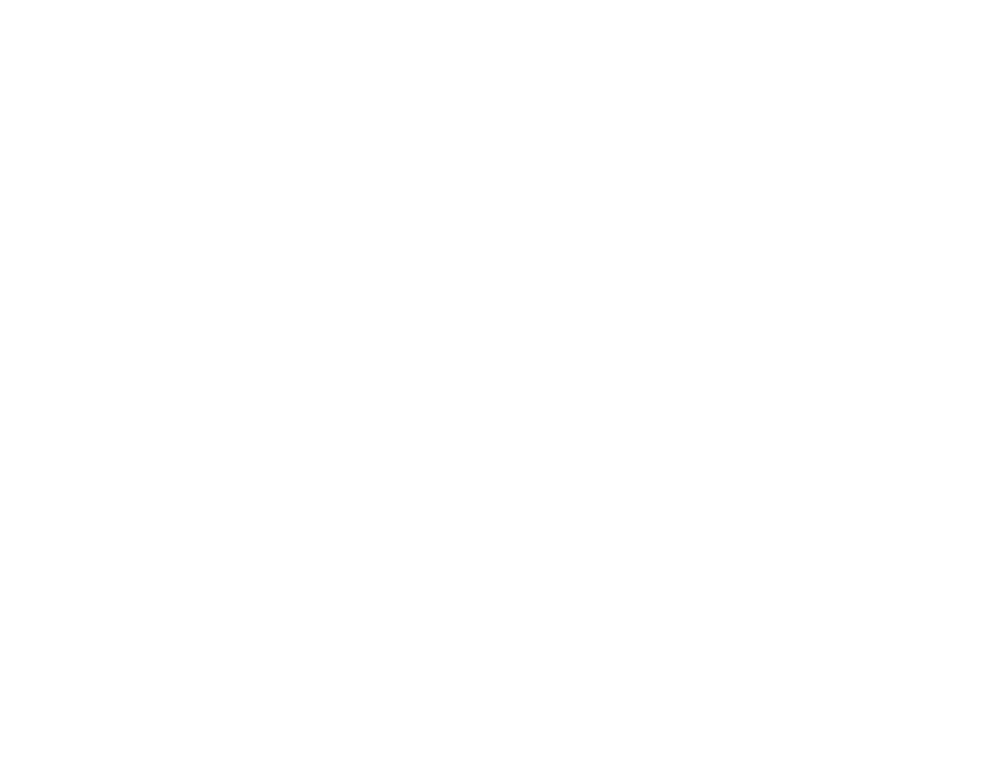 Richardson Chimney Sweep & Repair
